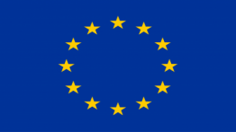 EU Commision Guidelines 2018 [CC Paper] published